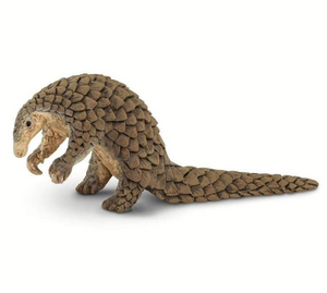 Pangolin