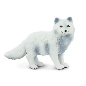 Arctic Fox