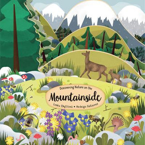 Peek Inside: Discovering Nature on the Mountainside