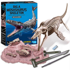 Dig a Mosasaurus Skeleton
