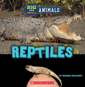Big and Small: Reptiles