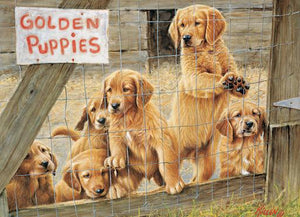 Golden Puppies 500pc