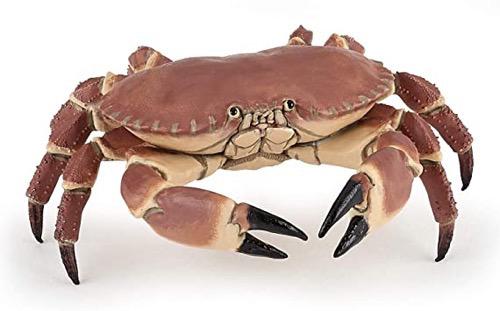 Crab