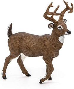 White-Tailed Deer