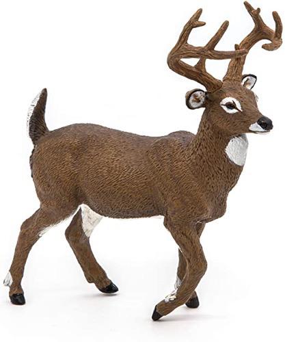 White-Tailed Deer