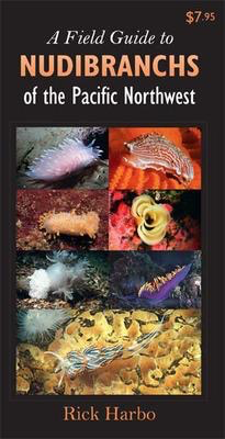 A Field Guide to Nudibranches of the Pacific Norhtwest