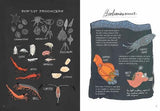 Ocean Anatomy: The Curious Parts and Pieces of the World Under the Sea