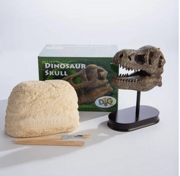Dinosaur Skull Excavation Kit