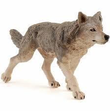 Grey Wolf