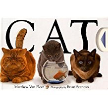 Cat: Matthew van Fleet