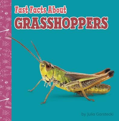 Fast Facts About Grasshoppers