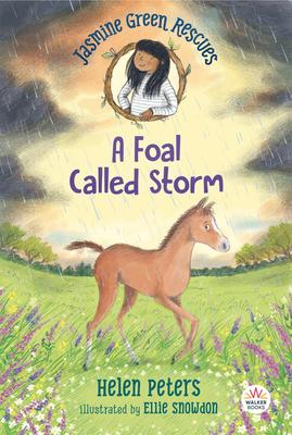 Jasmine Green Rescues #8: A Foal Called Storm