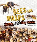 Bees and Wasps: Secrets of Their Busy Colonies