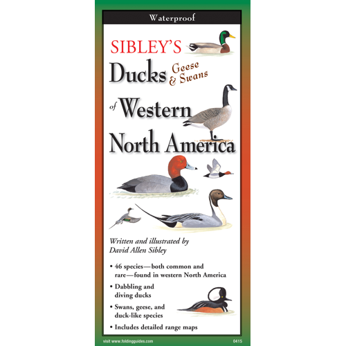 Sibley’s Ducks, Geese, & Swans of Western North America Field Guide