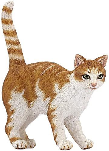 Red cat