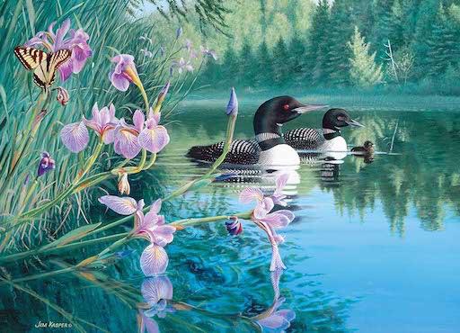 Iris Cove Loons 500pc