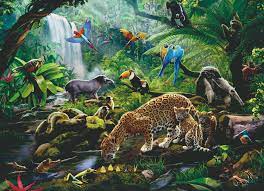 Rainforest Animals 60pc