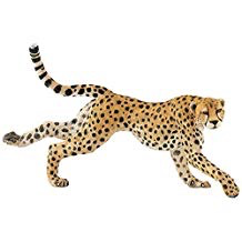 Running Cheetah