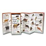 Land Mammals of the Pacific Northwest Field Guide