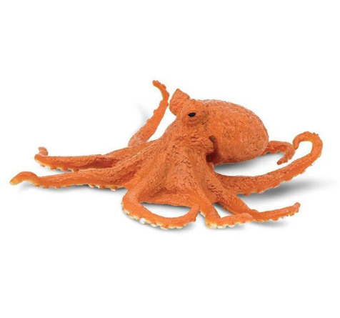 Octopus