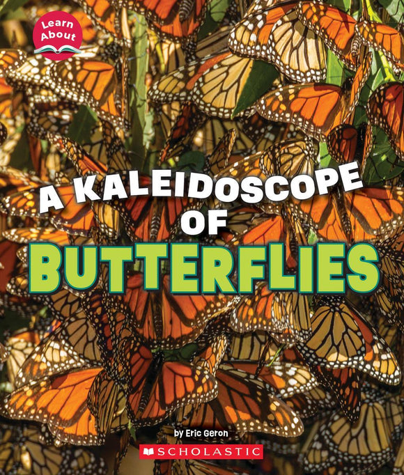 Learn About: A Kaleidoscope of Butterflies