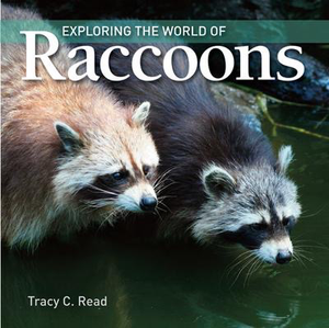 Exploring the World of Raccoons