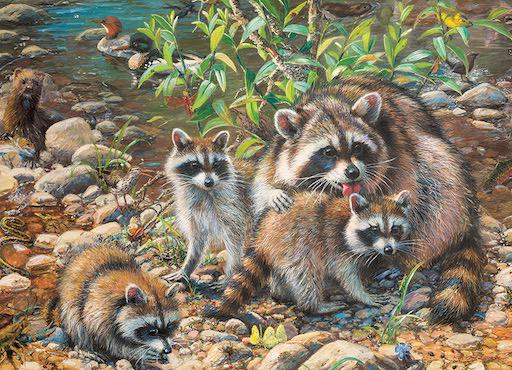 Family Puzzle - Raccoon Family 350 pc (2022)