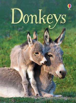Usborne Beginners: Donkeys