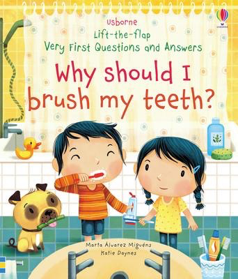 Usborne Lift the Flap First Questions and Answers: Why Should I Brush My Teeth?