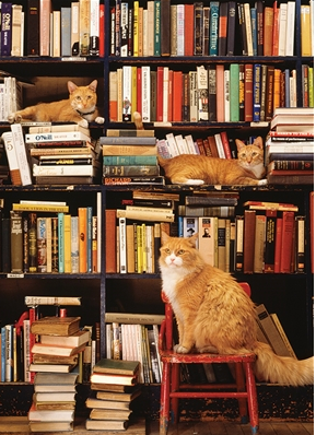 Gotham Bookstore Cats 500pc