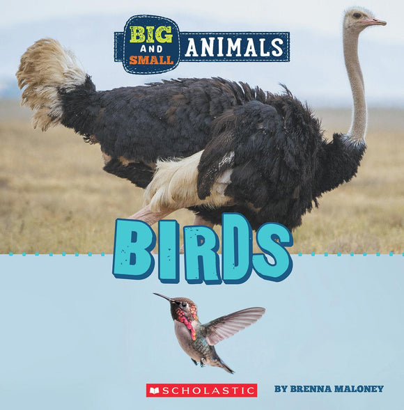 Big and Small: Birds