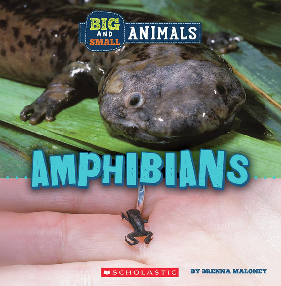 Big and Small: Amphibians