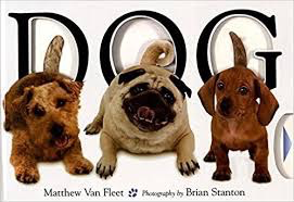 Dog: Matthew van Fleet