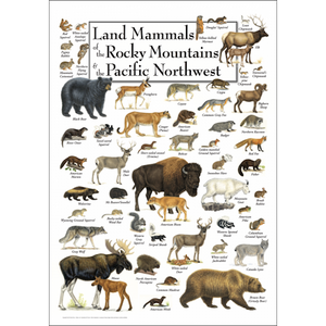 Land Mammals of the Rocky Mountains & the Pacific Northwest – Poster