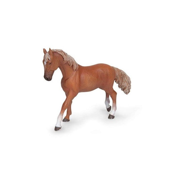 Alezan English Thoroughbred Mare
