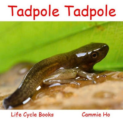 Tadpole Tadpole (Life Cycle Books)