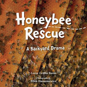 Honeybee Rescue: A Backyard Drama