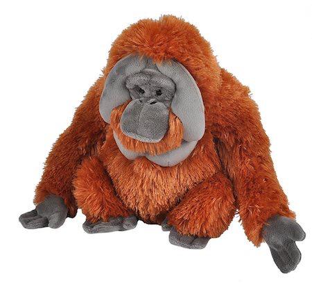 Orangutan Stuffed Animal - 12