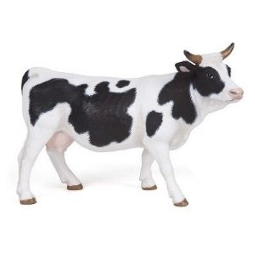 Black and White Cow