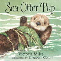Sea Otter Pup (PB)