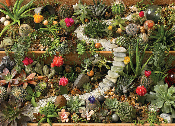 Succulent Garden  1000pc (2023)