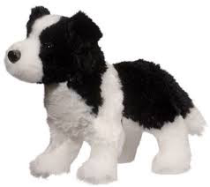 Meadow Border Collie 8