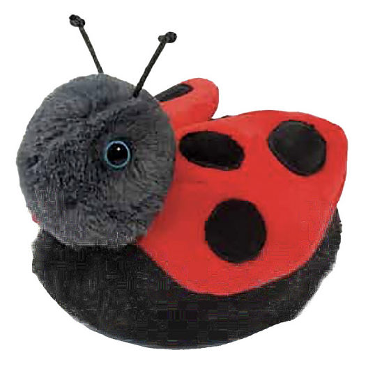 Bert Ladybug 7