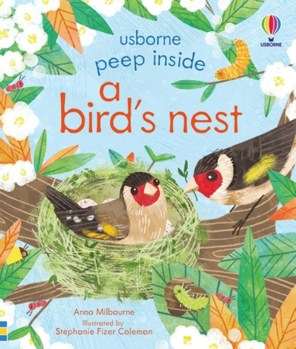 Usborne Peep Inside A Bird's Nest